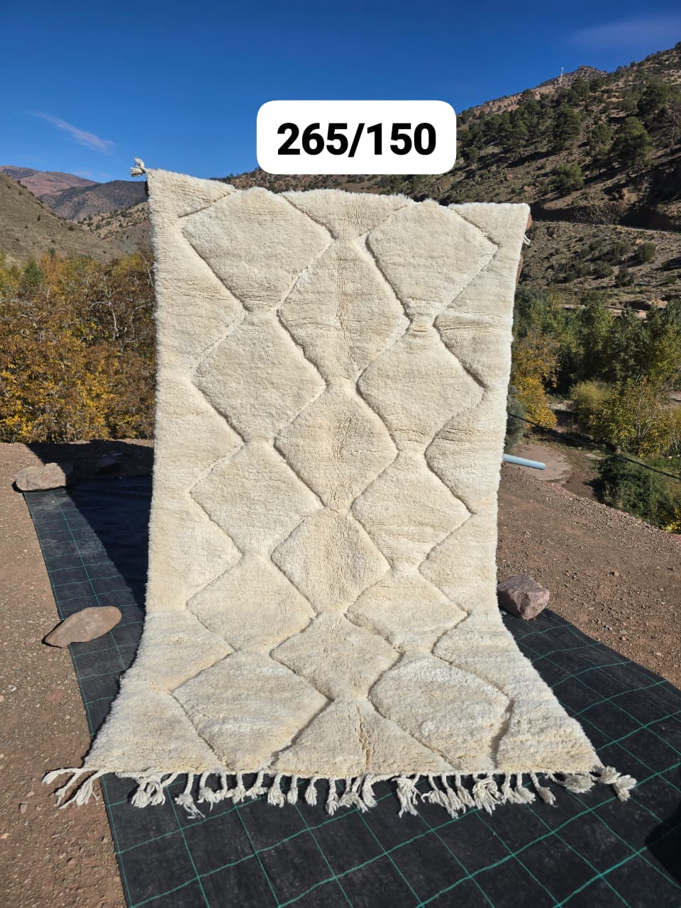 Alfombra Beni Ouarain 151 x 280 cm - n°2534