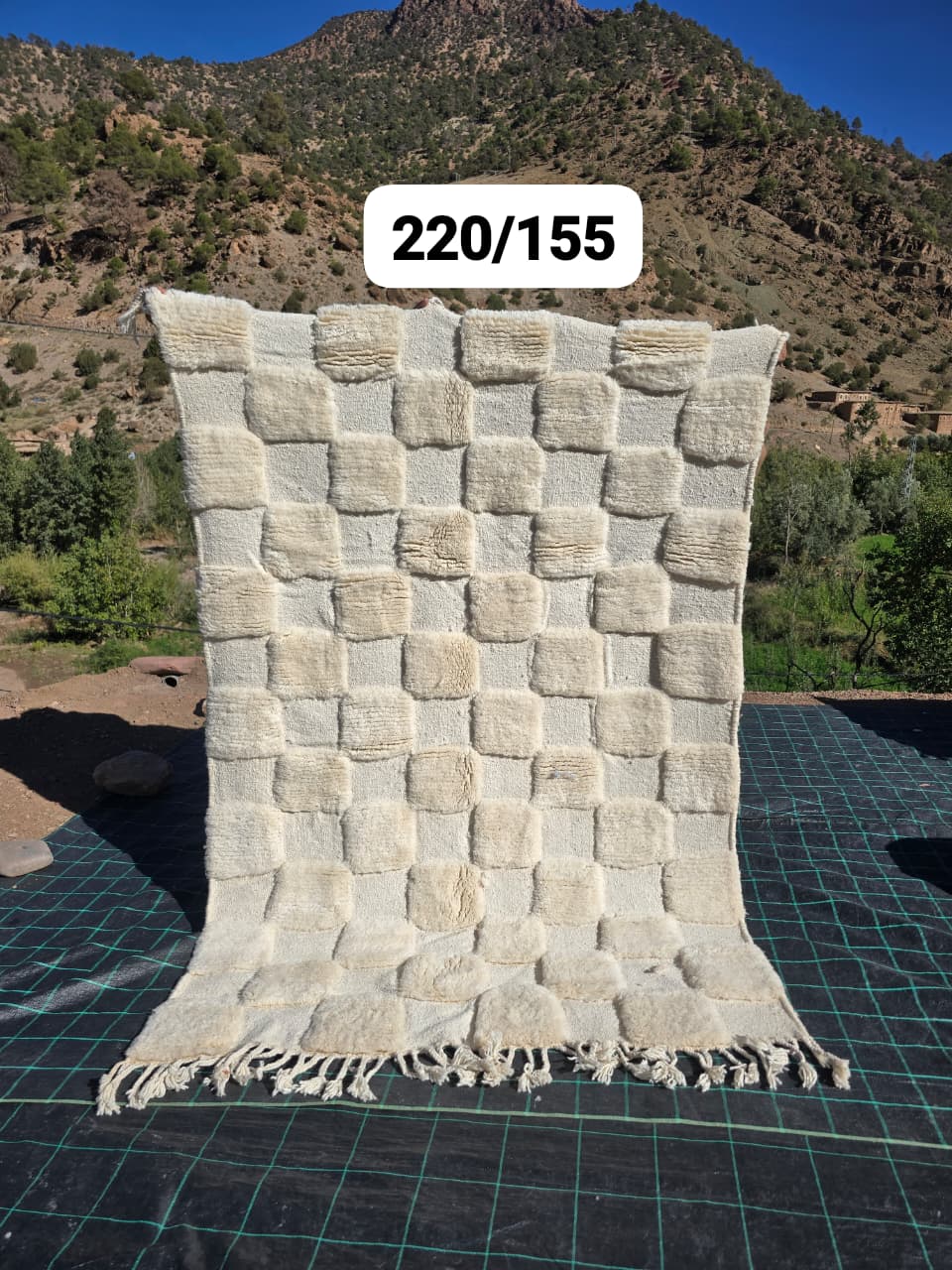 Tapete Beni Ouarain 154 x 240 cm - n°2527