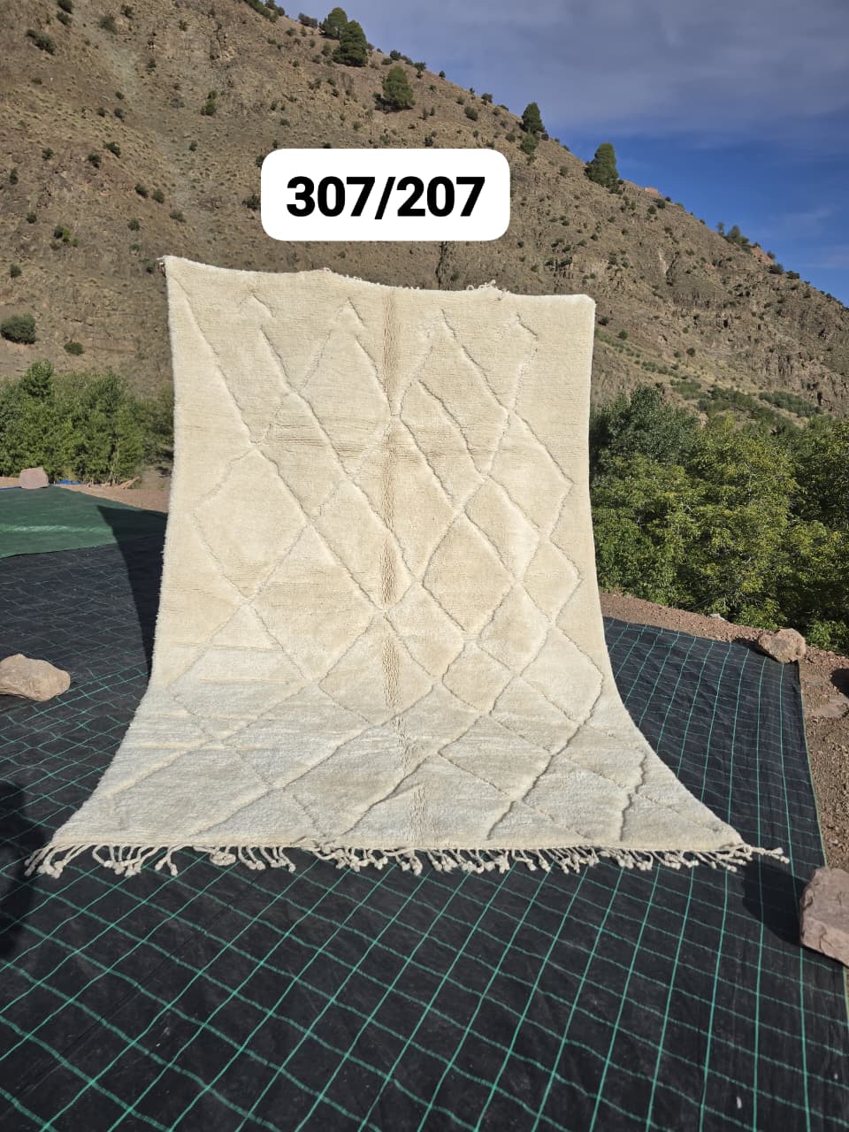 Beni Ouarain rug 207 x 320 cm - n°2496