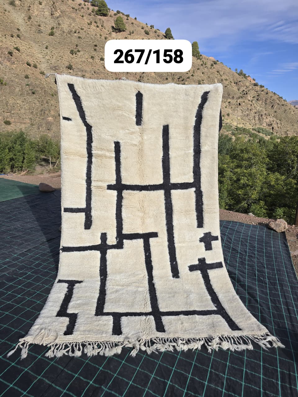 Beni Ouarain Tapijt 159 x 285 cm - n°2499