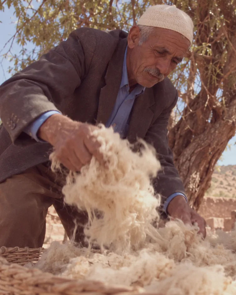 A craftsman sorts raw sheep’s wool by hand over a basket