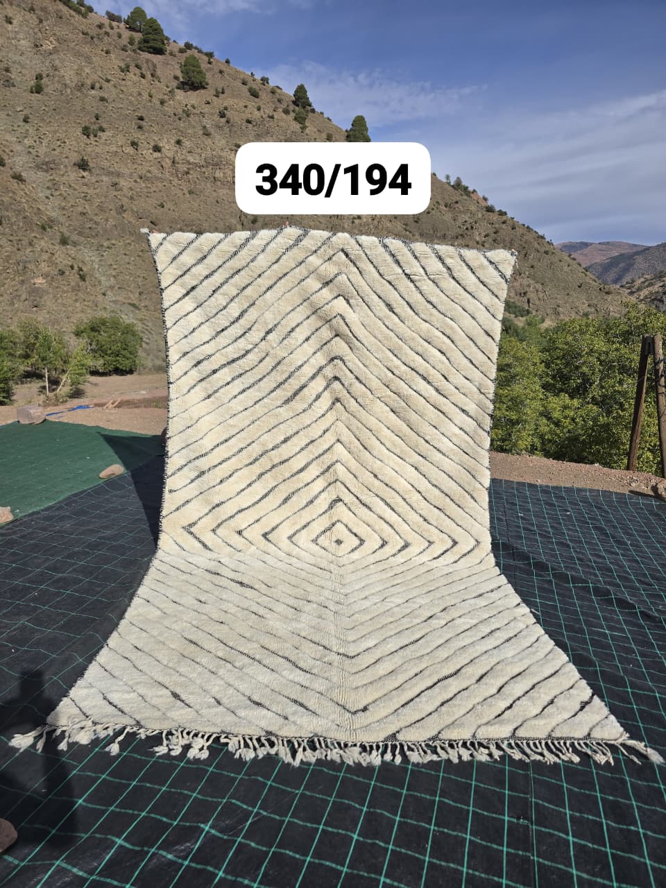 Tapis Beni Ouarain 195 x 360 cm - n°2501