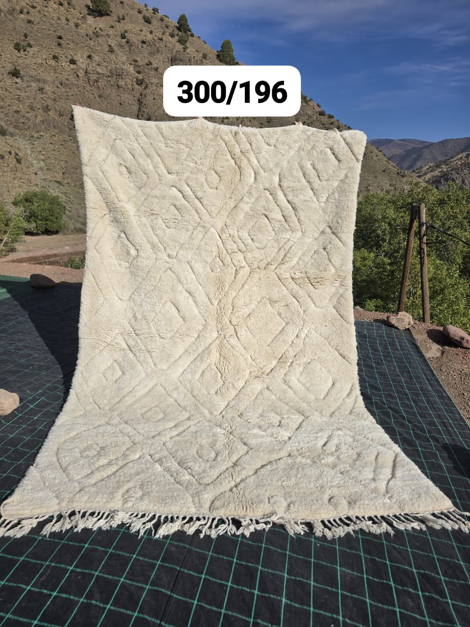 Beni Ouarain Teppich 196 x 320 cm – Nr. 2520