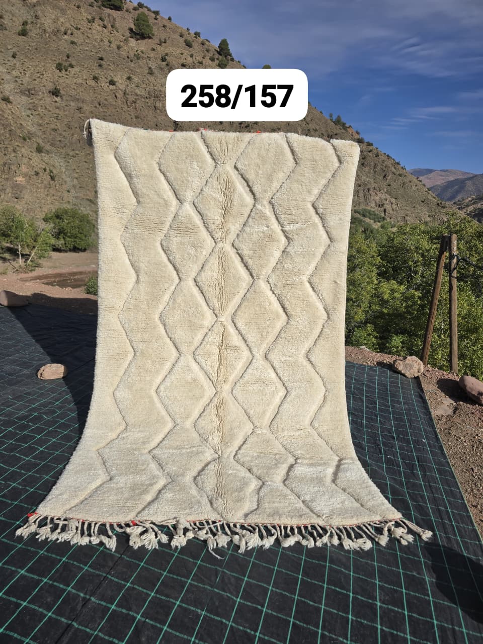 Beni Ouarain Teppich 157 x 283 cm – Nr. 2494